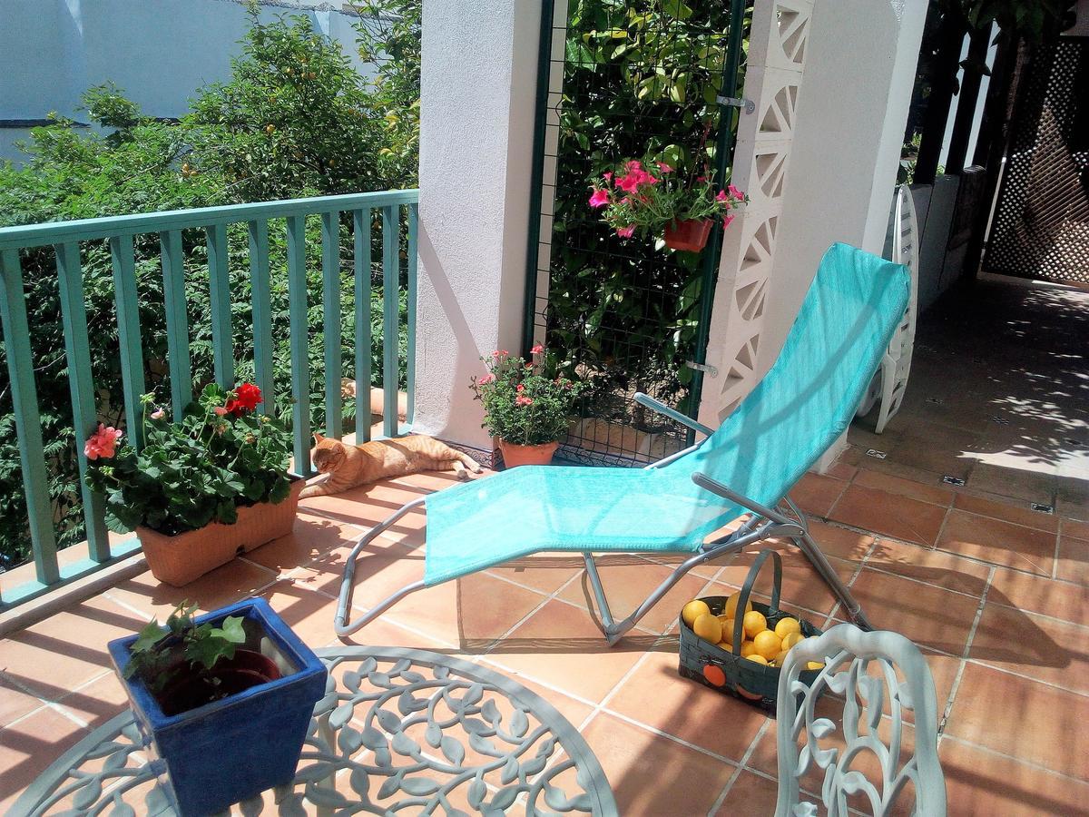 Patio Del Limonero Apartment Cordoba Luaran gambar